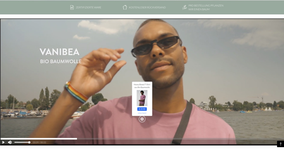 Video object detection